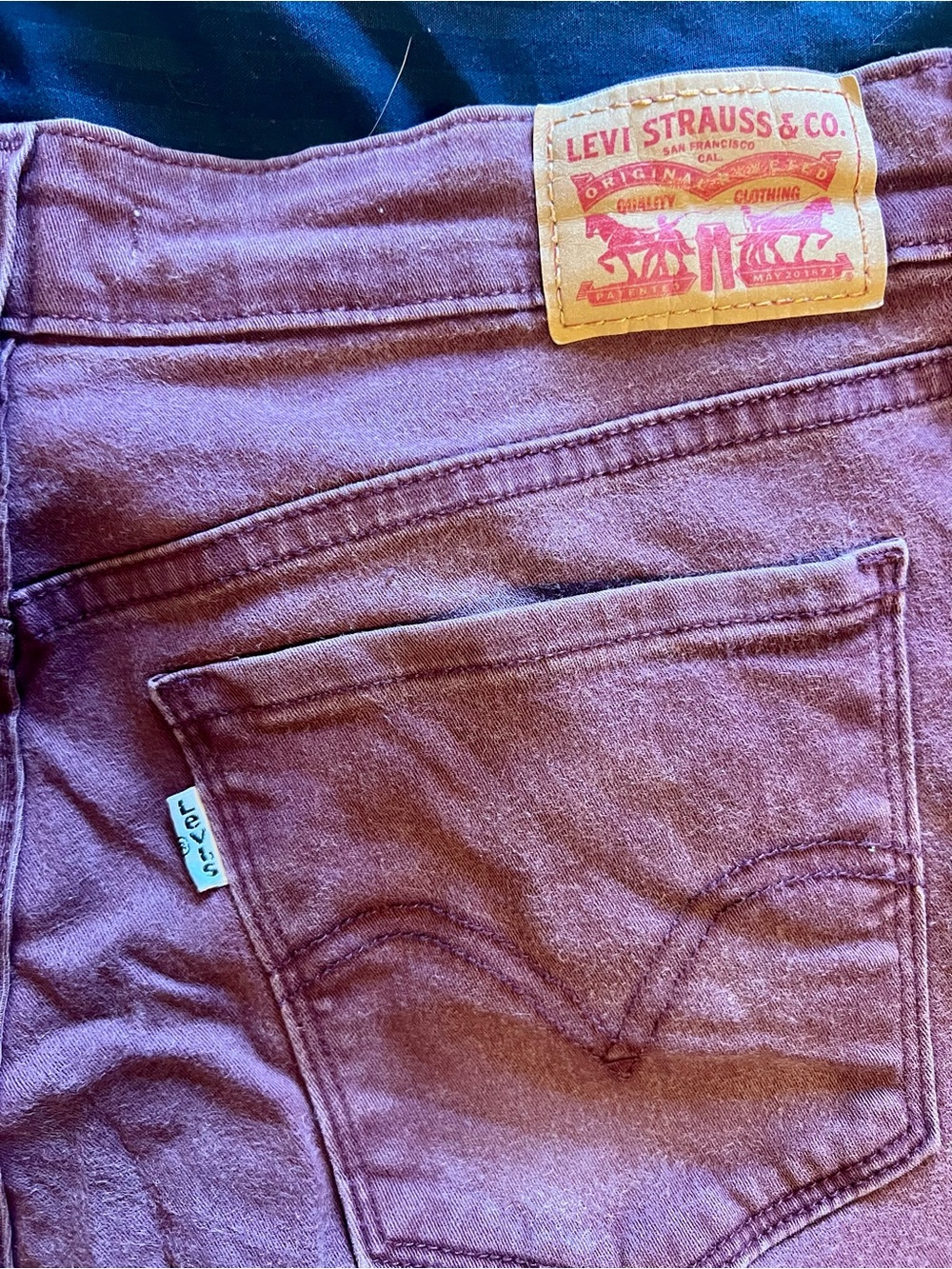 Mauve Earthy Fall Pants.